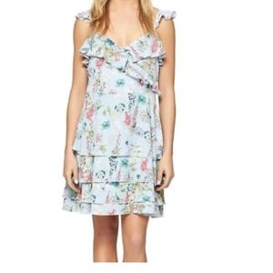 Sanctuary Botanica Bluebell Ruffle Dress